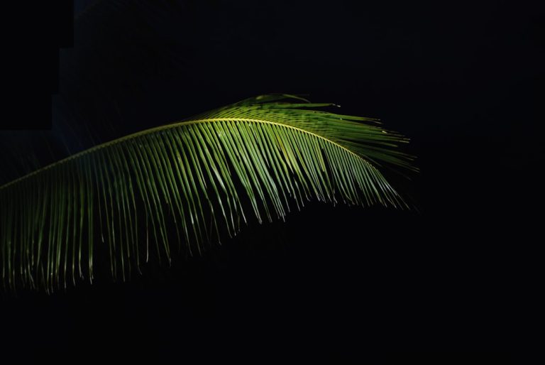 La Lampada da Terra con Palma: Un’aggiunta tropicale per la tua casa