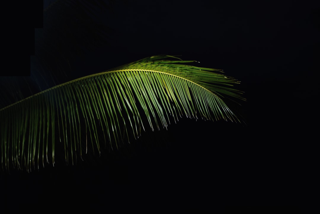 La Lampada da Terra con Palma: Un’aggiunta tropicale per la tua casa