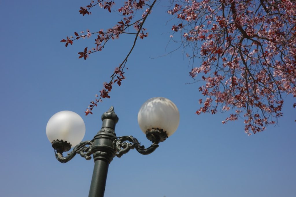 Photo Outdoor Light Fixtures