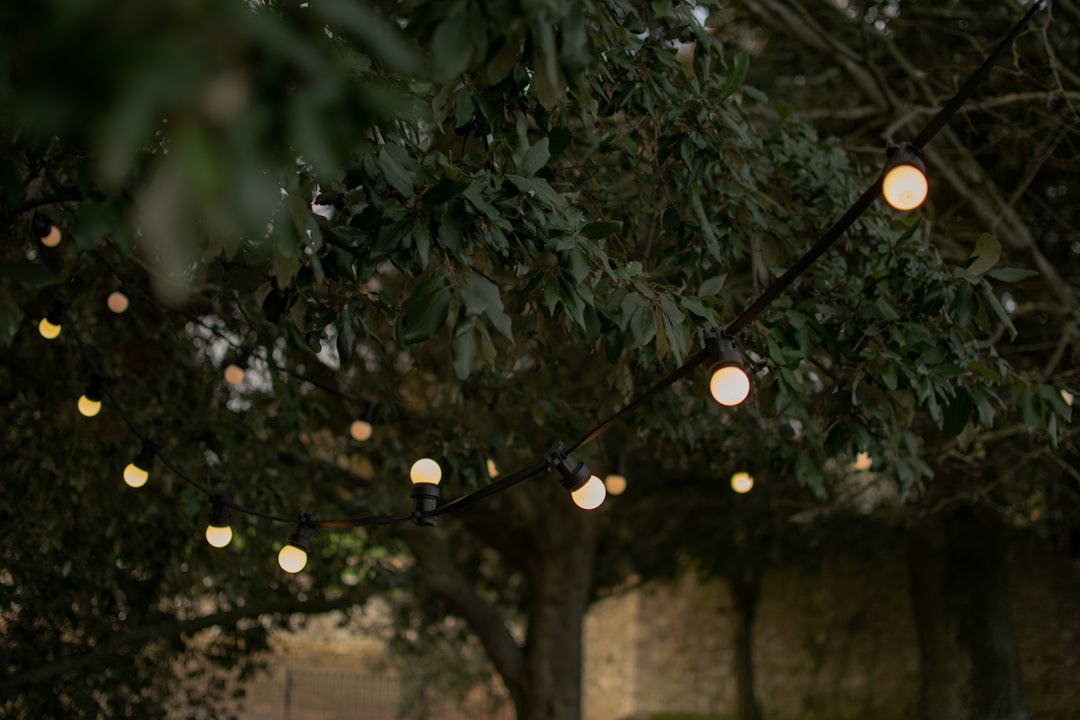 Luci da festone per esterni resistenti all’acqua e di alta qualità